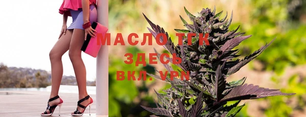 шишки Михайловск
