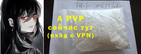 шишки Михайловск