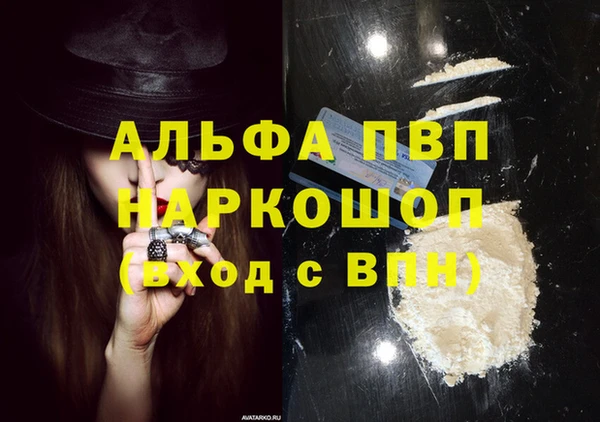 шишки Михайловск