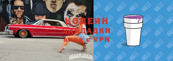 шишки Михайловск