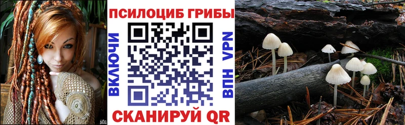 Галлюциногенные грибы мицелий  Купить закладки  Саранск 
